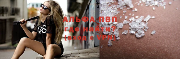 твердый Бородино
