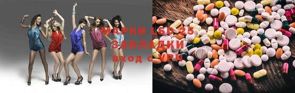 твердый Бородино