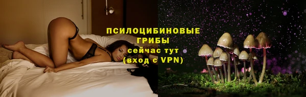 твердый Бородино