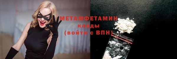 твердый Бородино