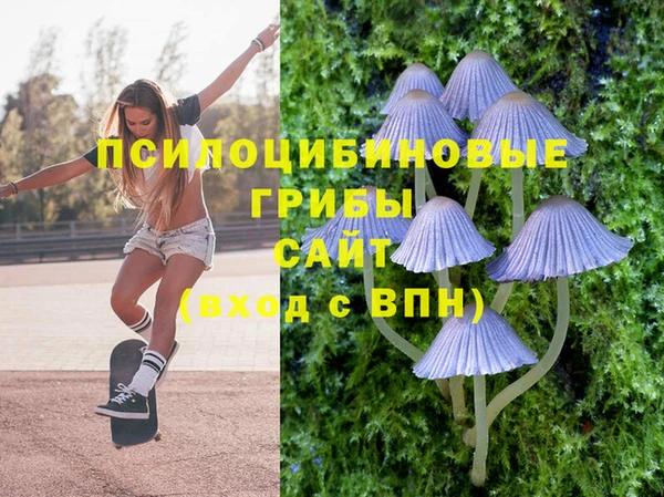 соль ск Бронницы
