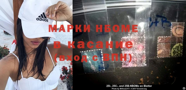 твердый Бородино