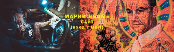 твердый Бородино
